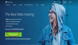 Easy Way In Bluehost To Change Primary Domain